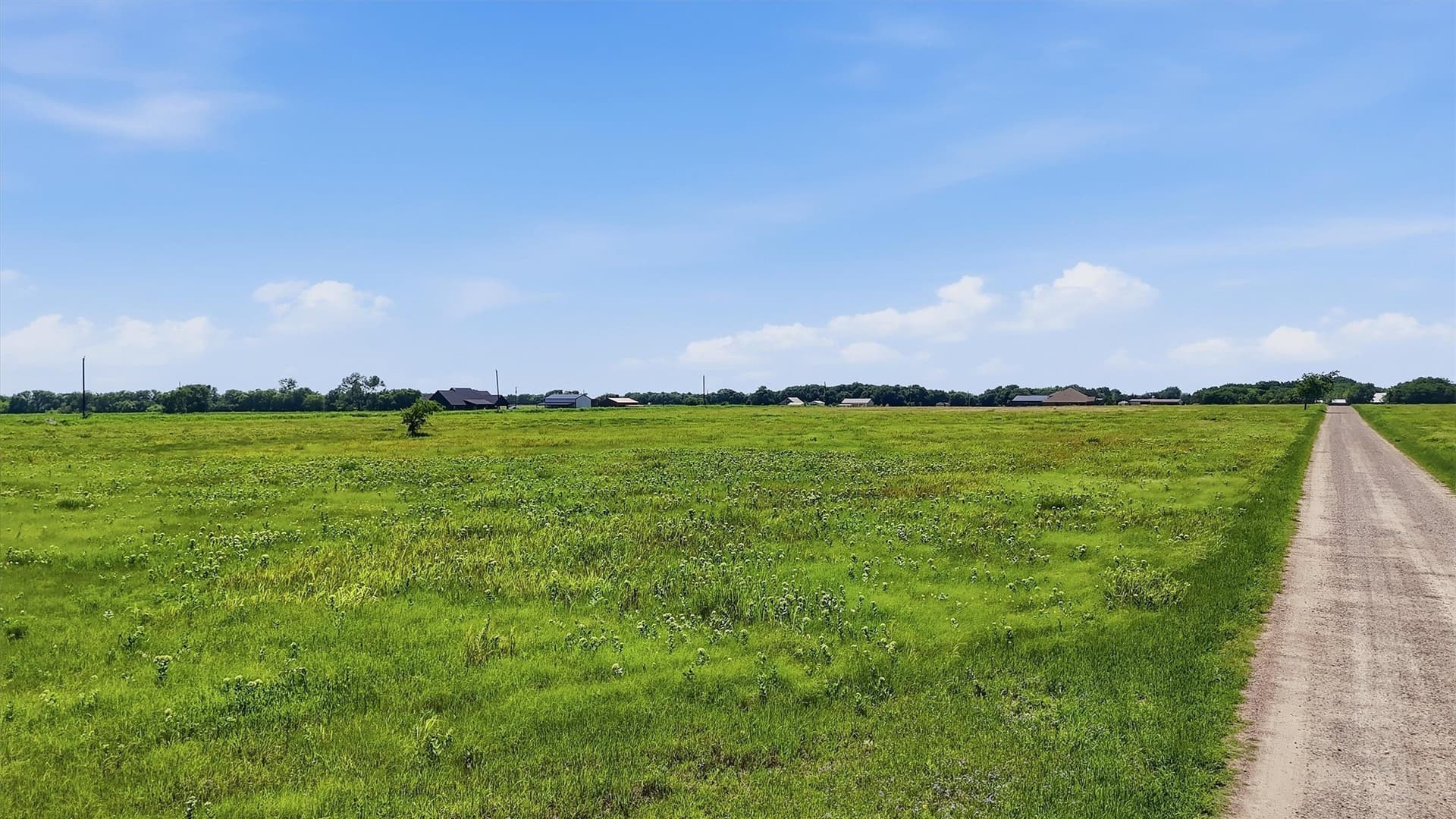 13.5 acres in Grayson County - photo 14