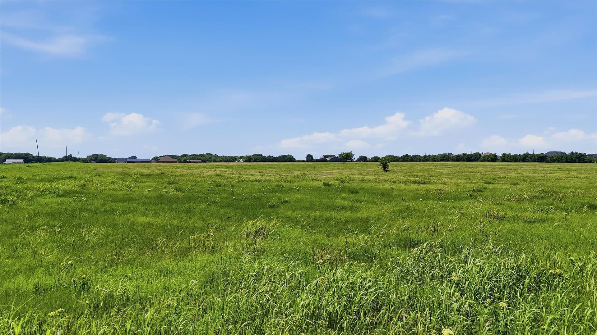 13.5 acres in Grayson County - photo 18