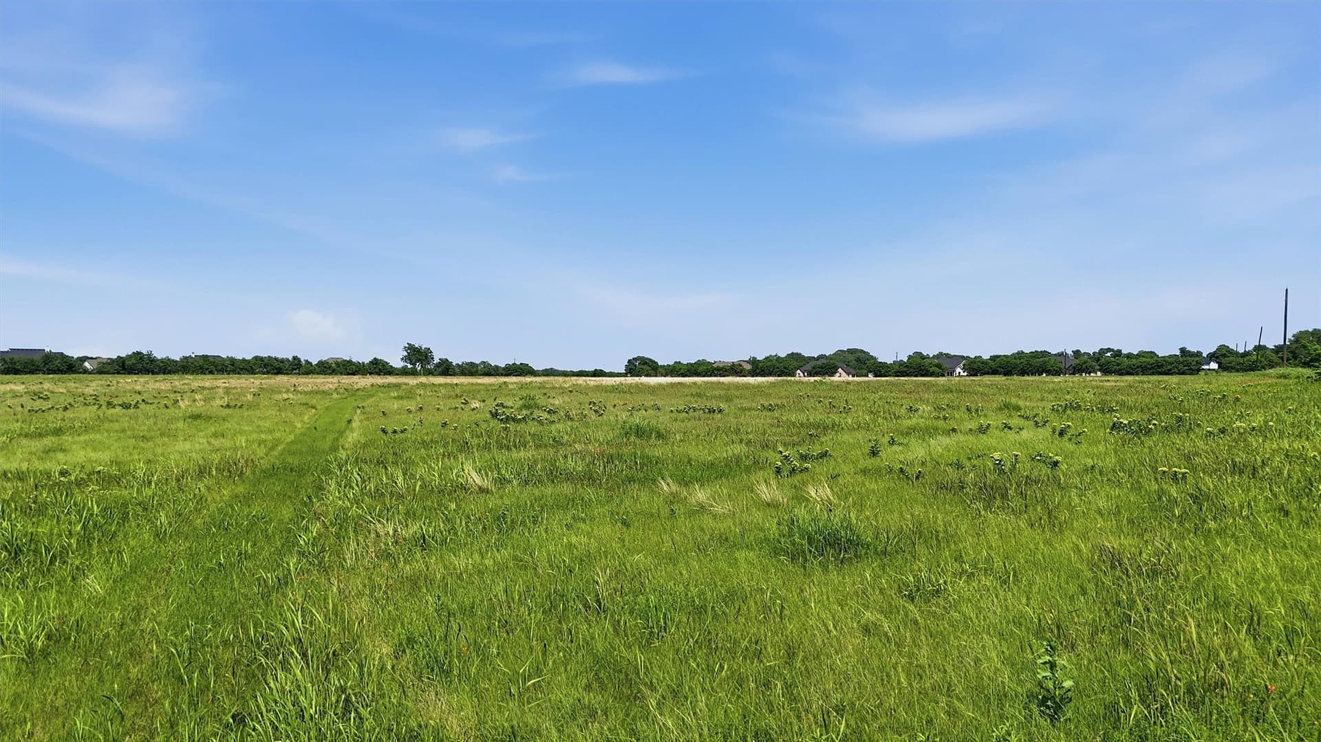 13.5 acres in Grayson County - photo 19