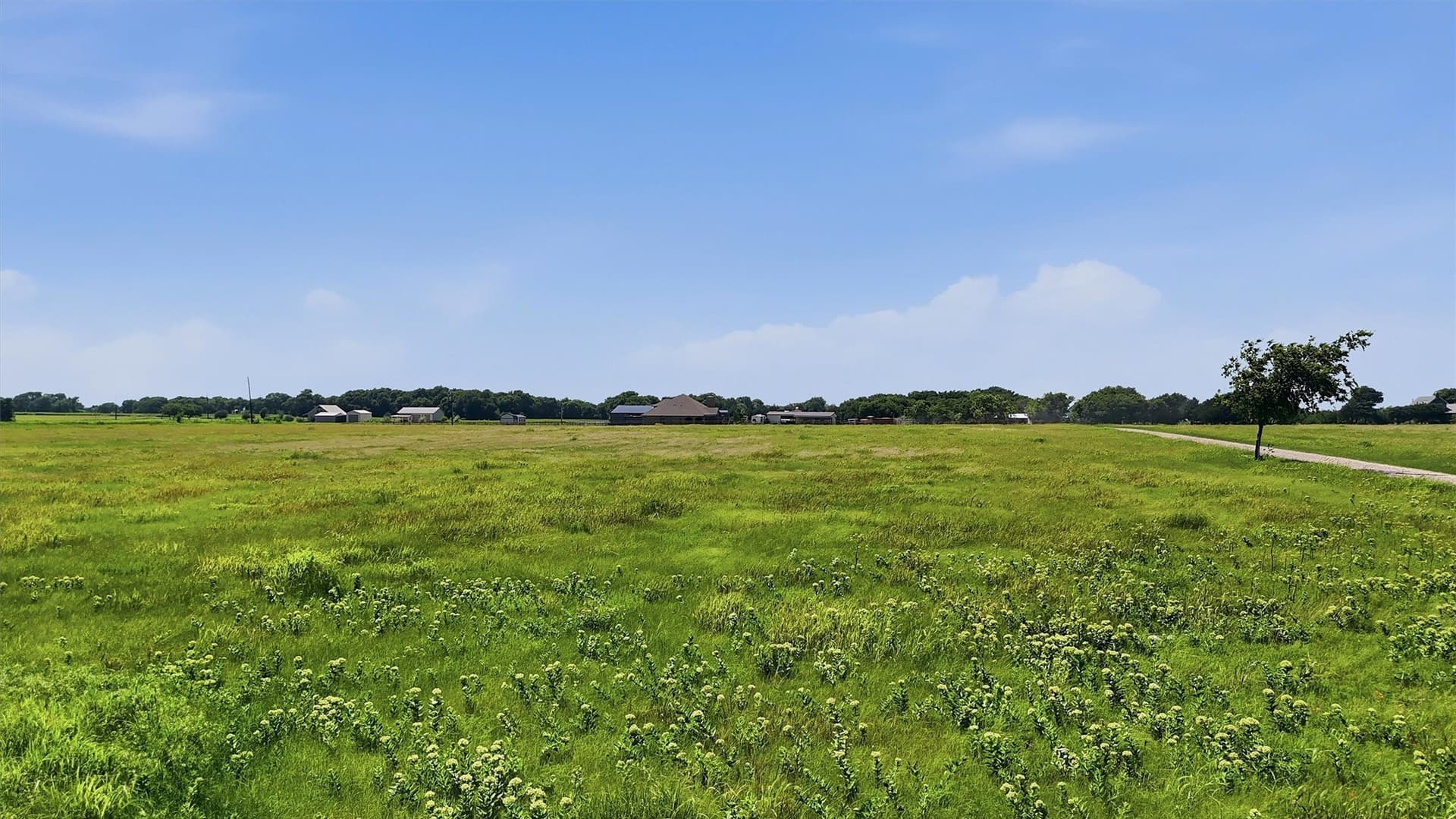 13.5 acres in Grayson County - photo 12