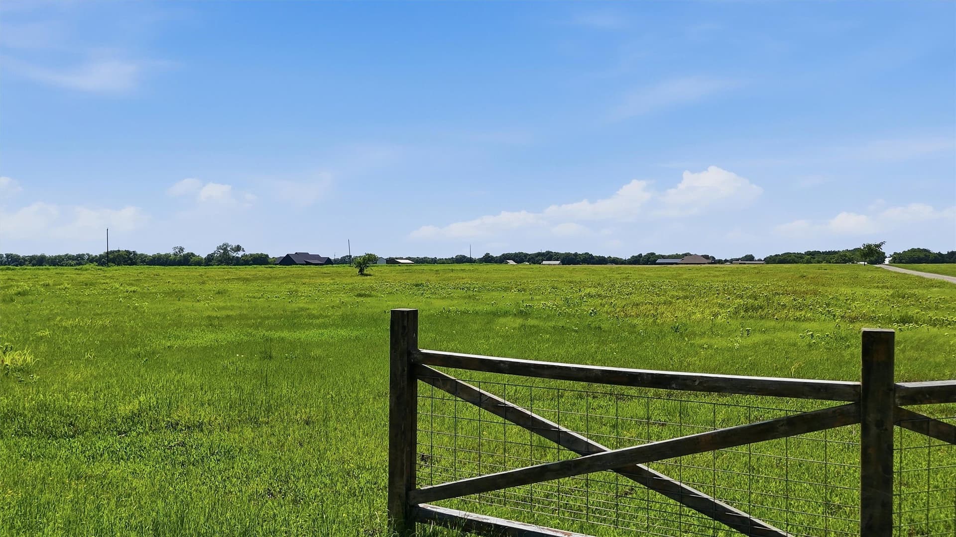 13.5 acres in Grayson County gallery image 4