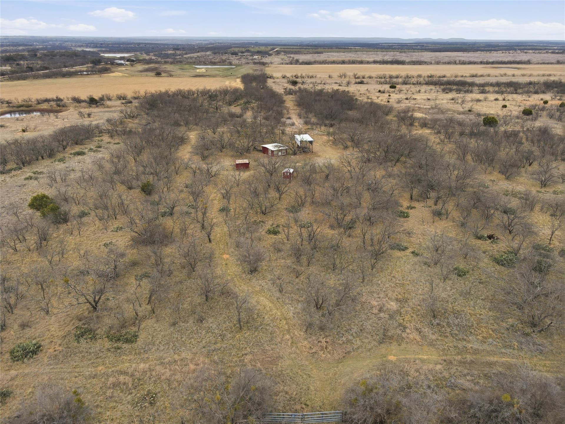 83.41 acres in Coleman County - photo 10