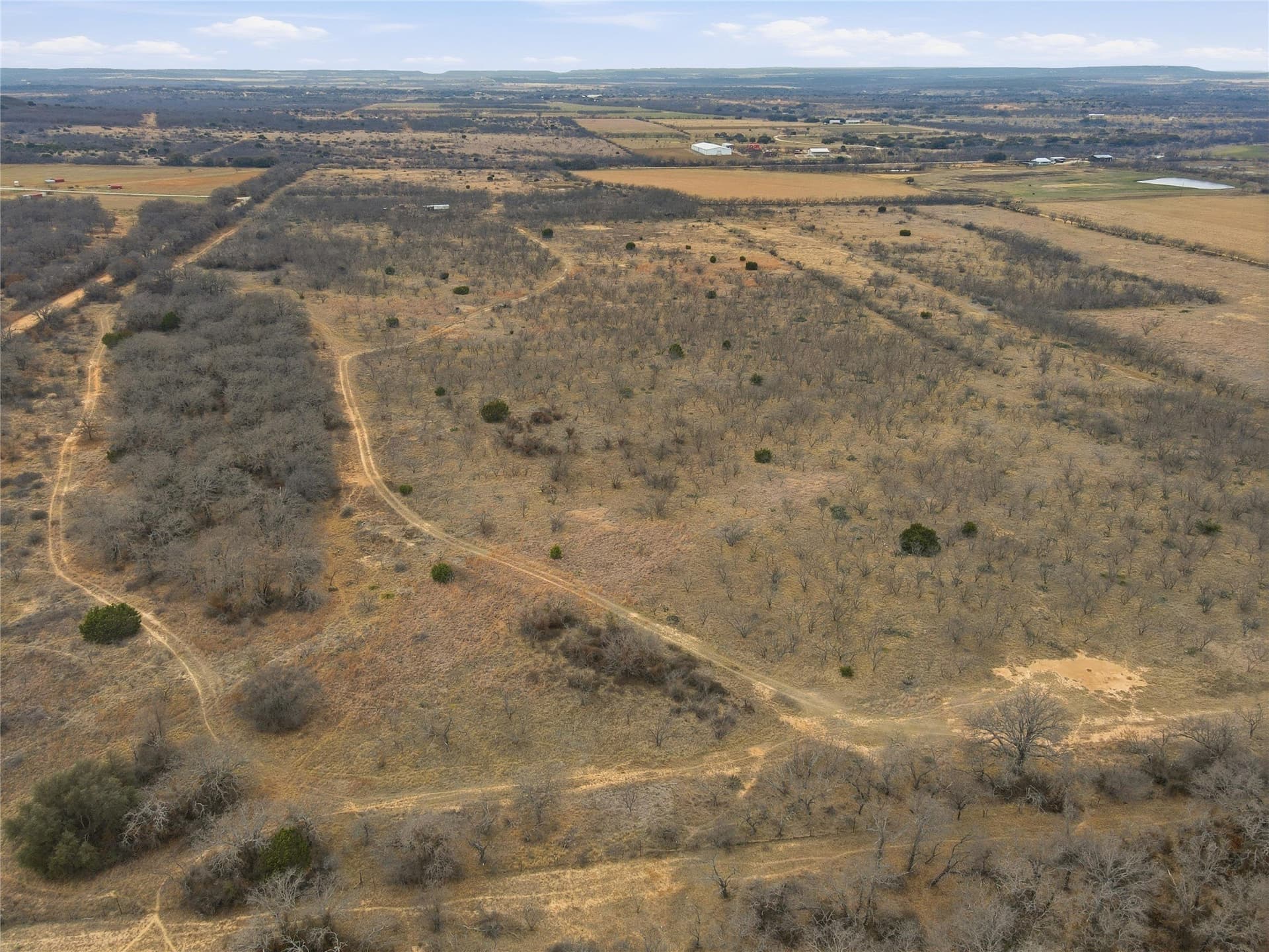 83.41 acres in Coleman County - photo 8