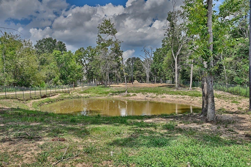 14.2 acres in Austin County featured view
