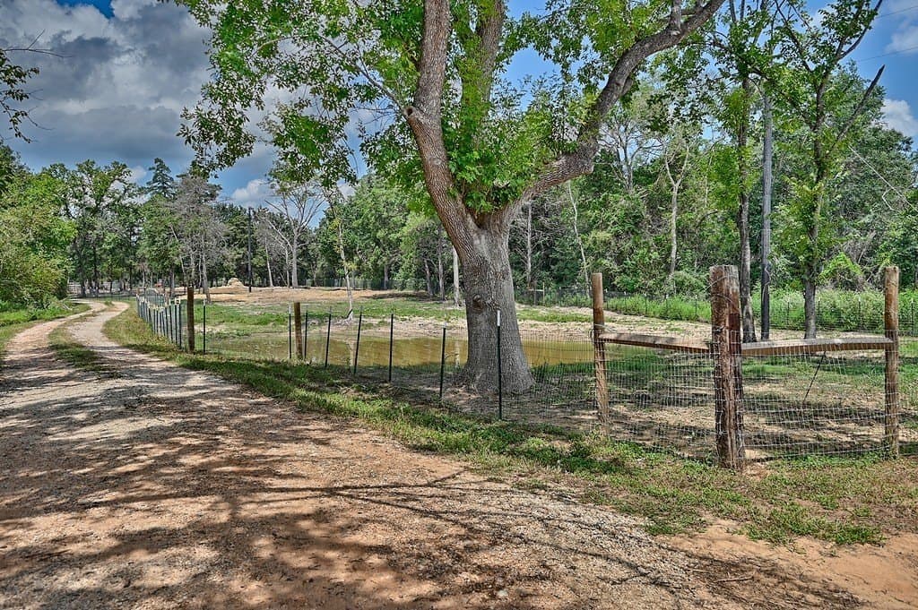 14.2 acres in Austin County gallery image 4