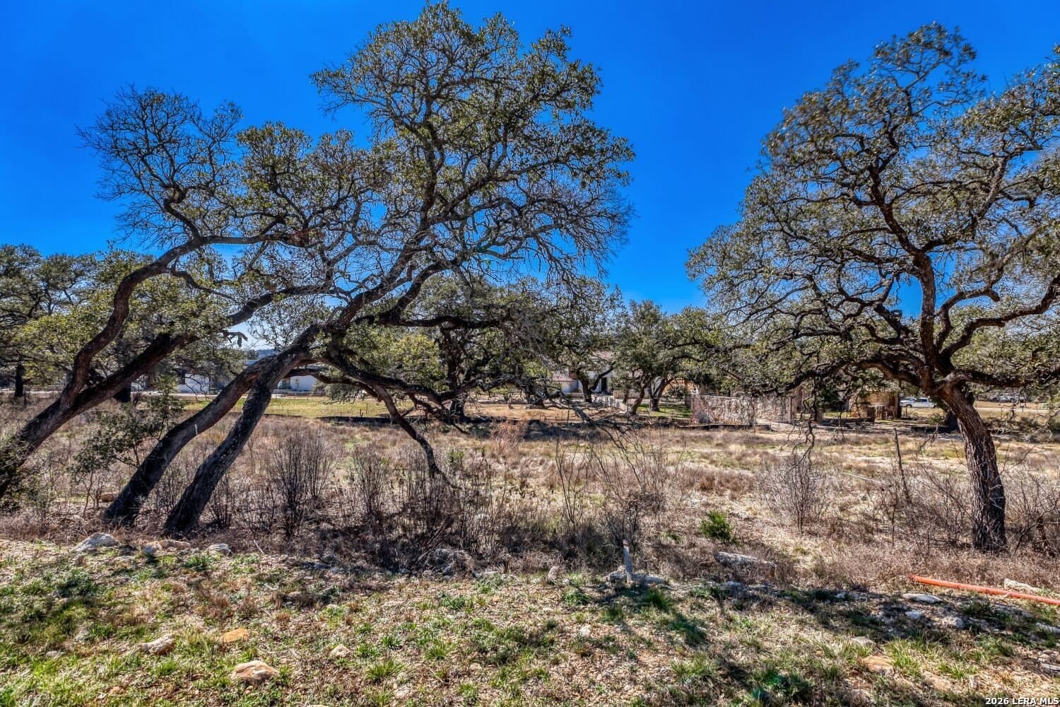 0.24 acres in Bexar County gallery image 4