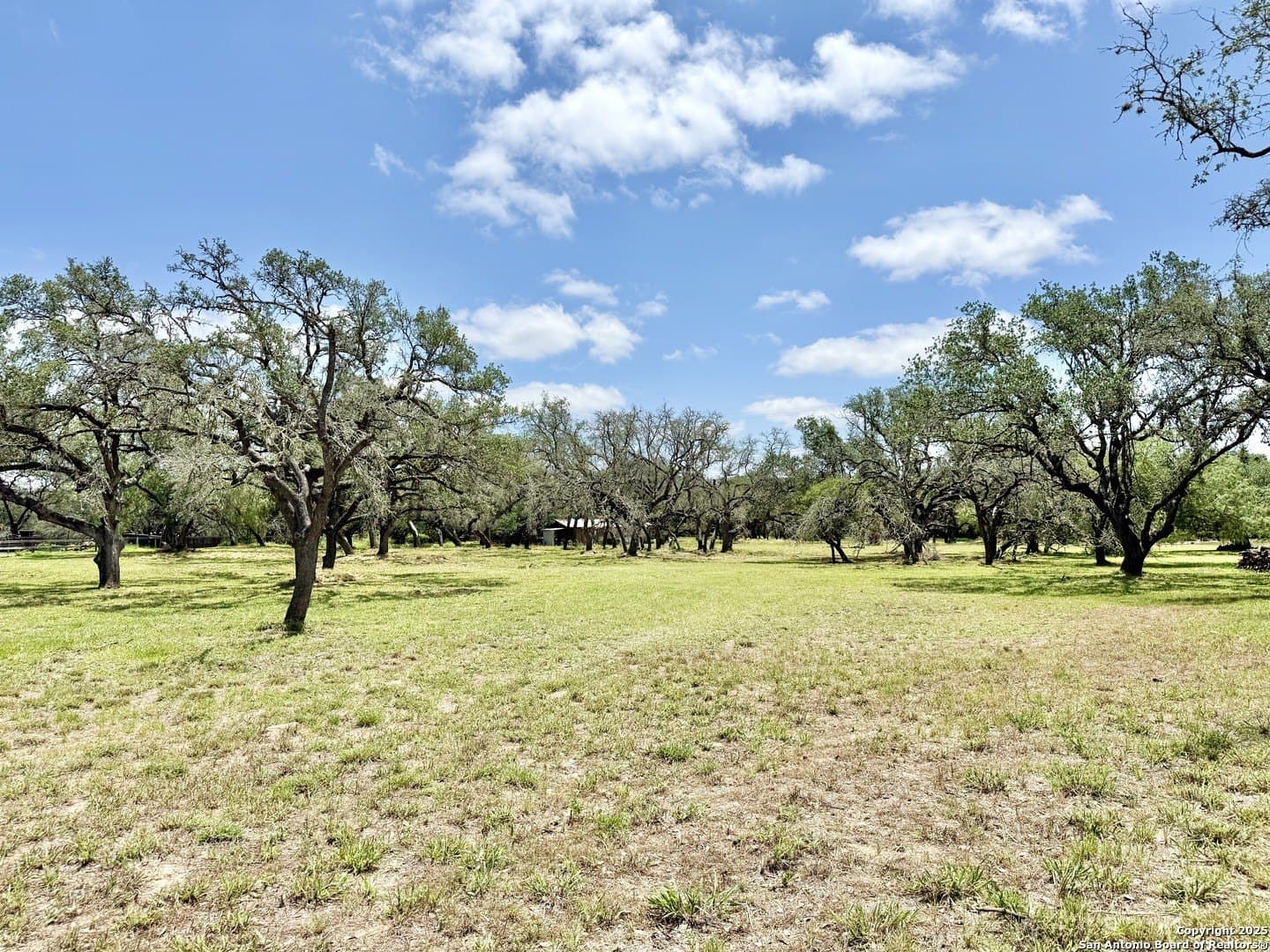 2 acres in Atascosa County gallery image 3