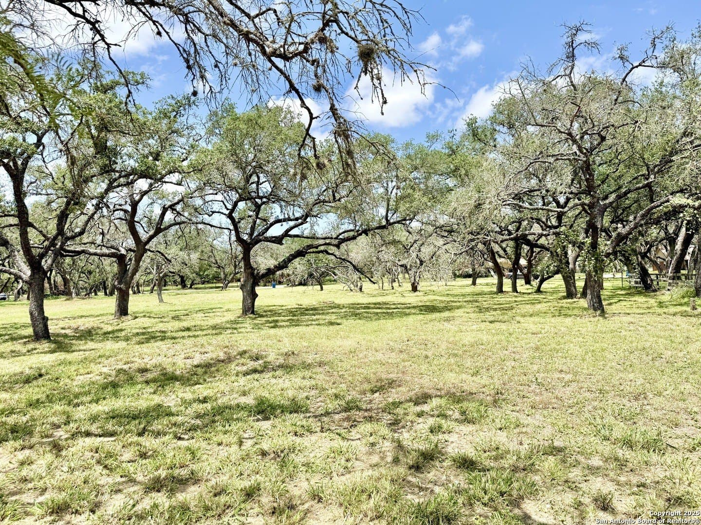 2 acres in Atascosa County gallery image 4