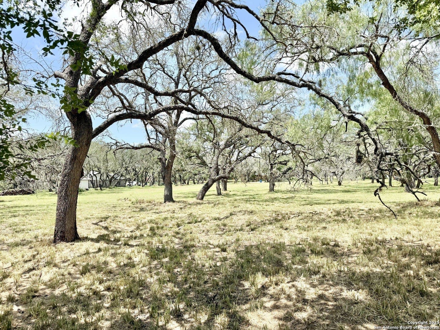 2 acres in Atascosa County featured view