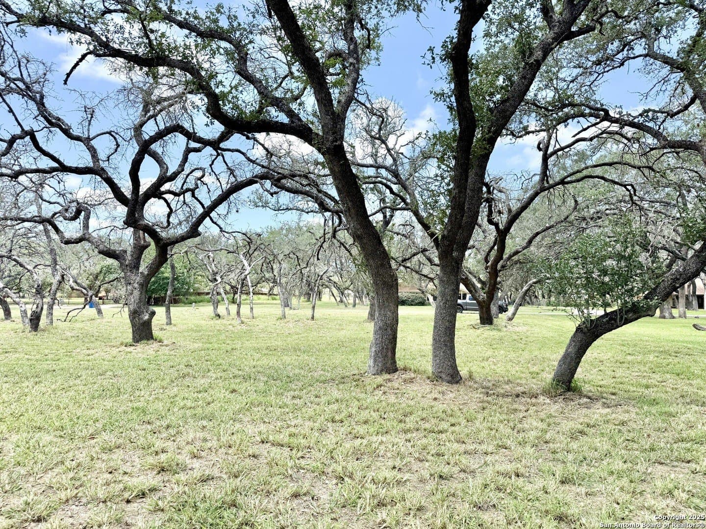 2 acres in Atascosa County gallery image 2