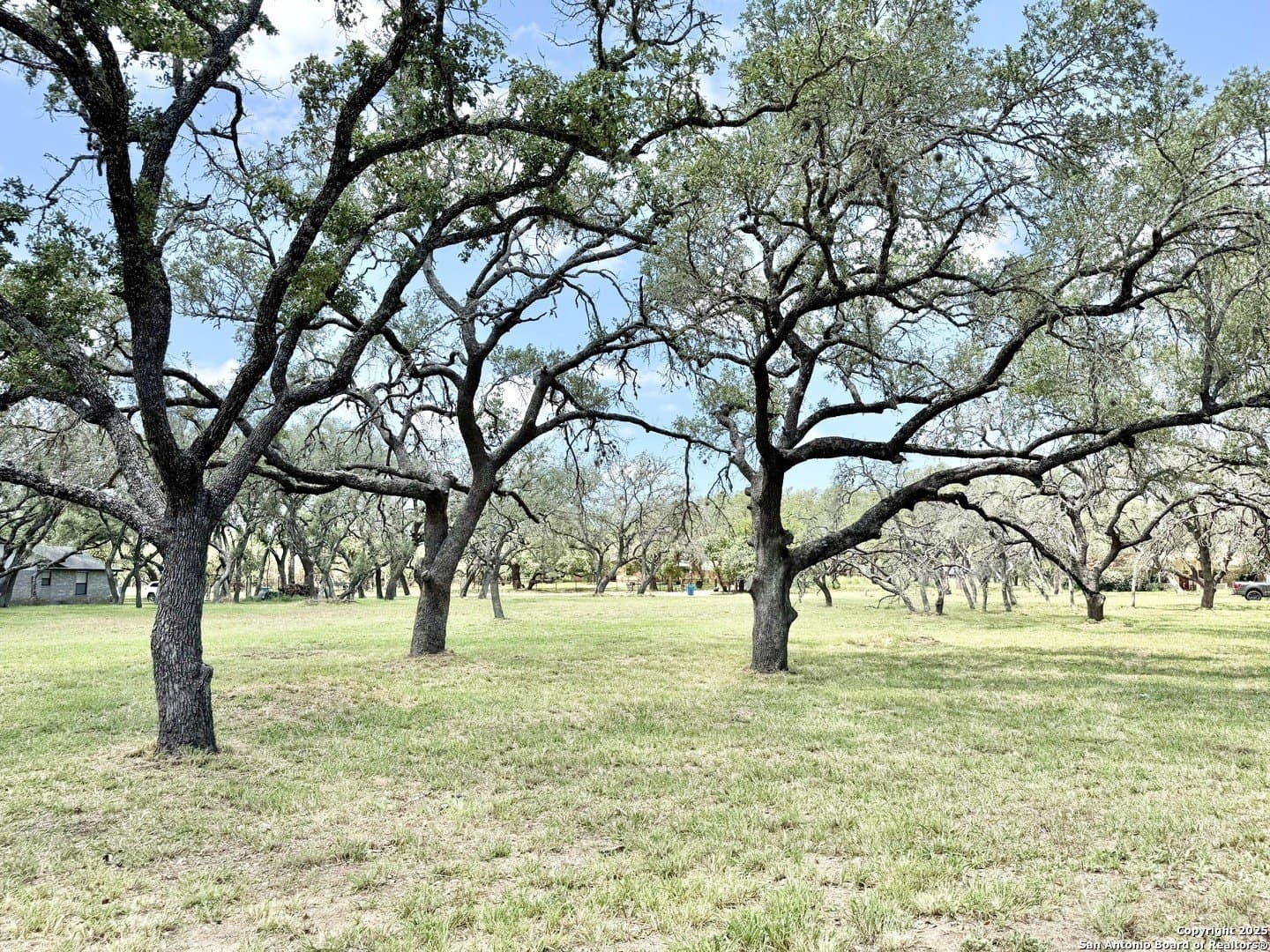 2 acres in Atascosa County