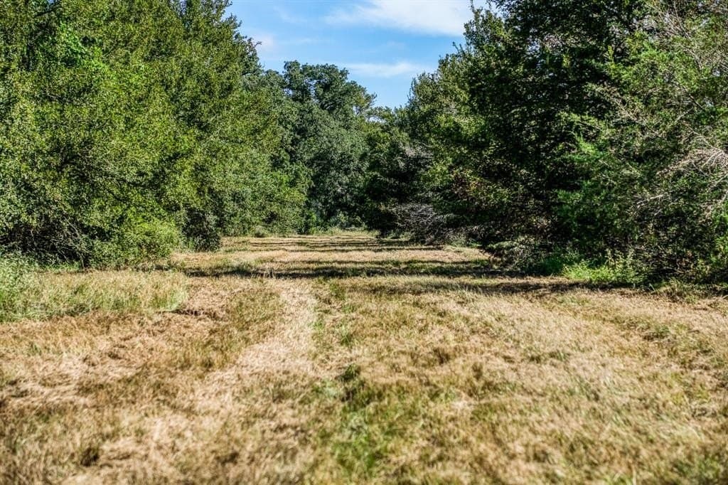 28.54 acres in Washington County - photo 6