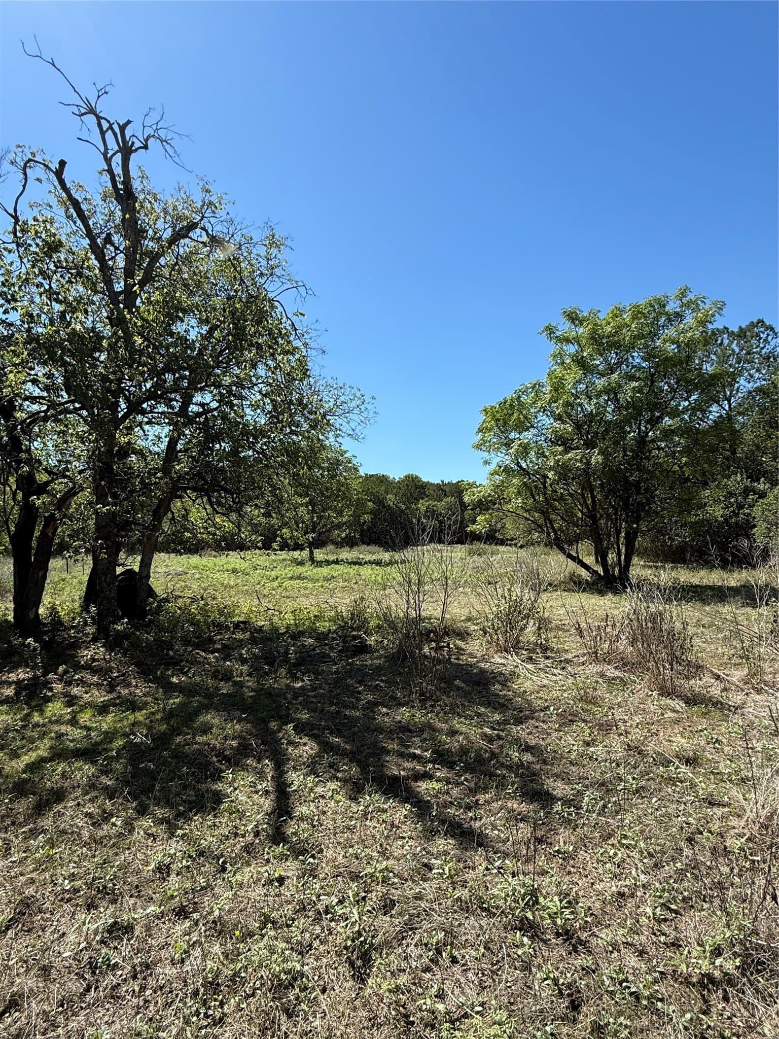 0.77 acres in Bosque County - photo 4