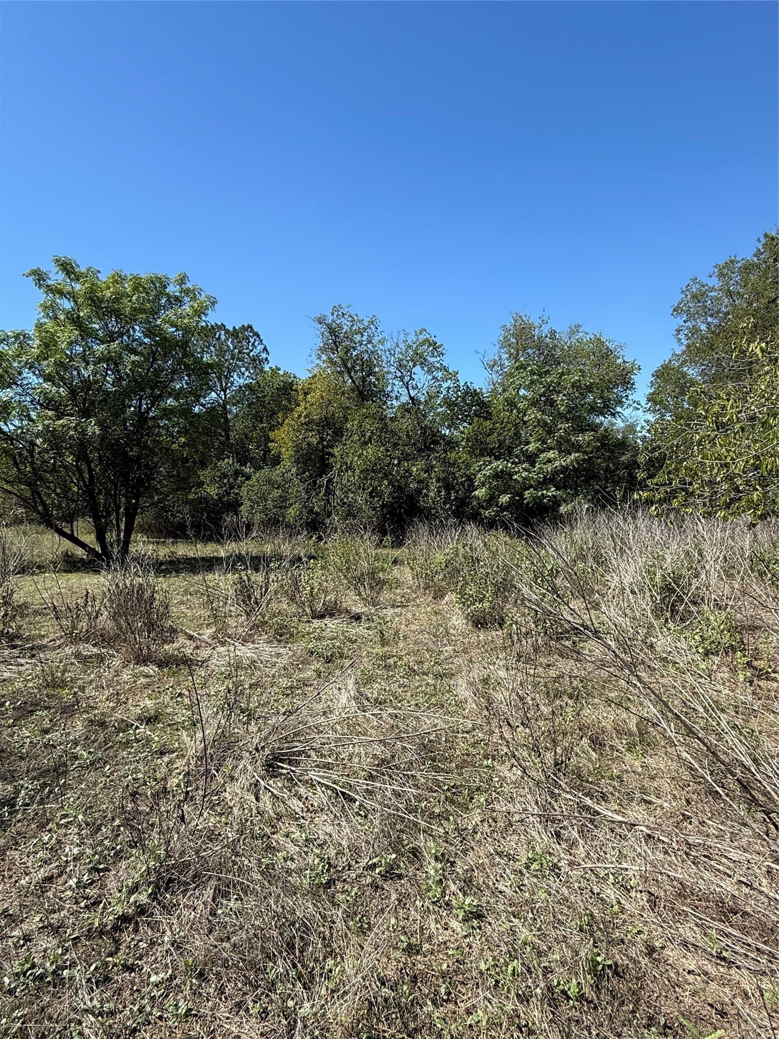 0.77 acres in Bosque County - photo 2