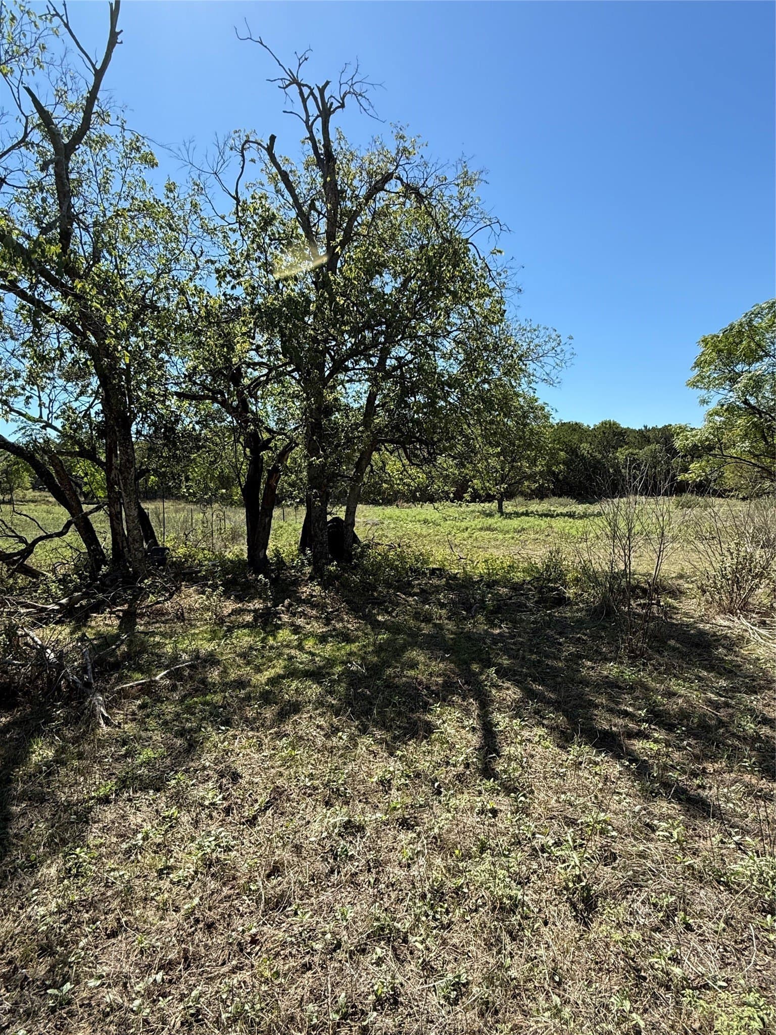 0.77 acres in Bosque County - photo 3