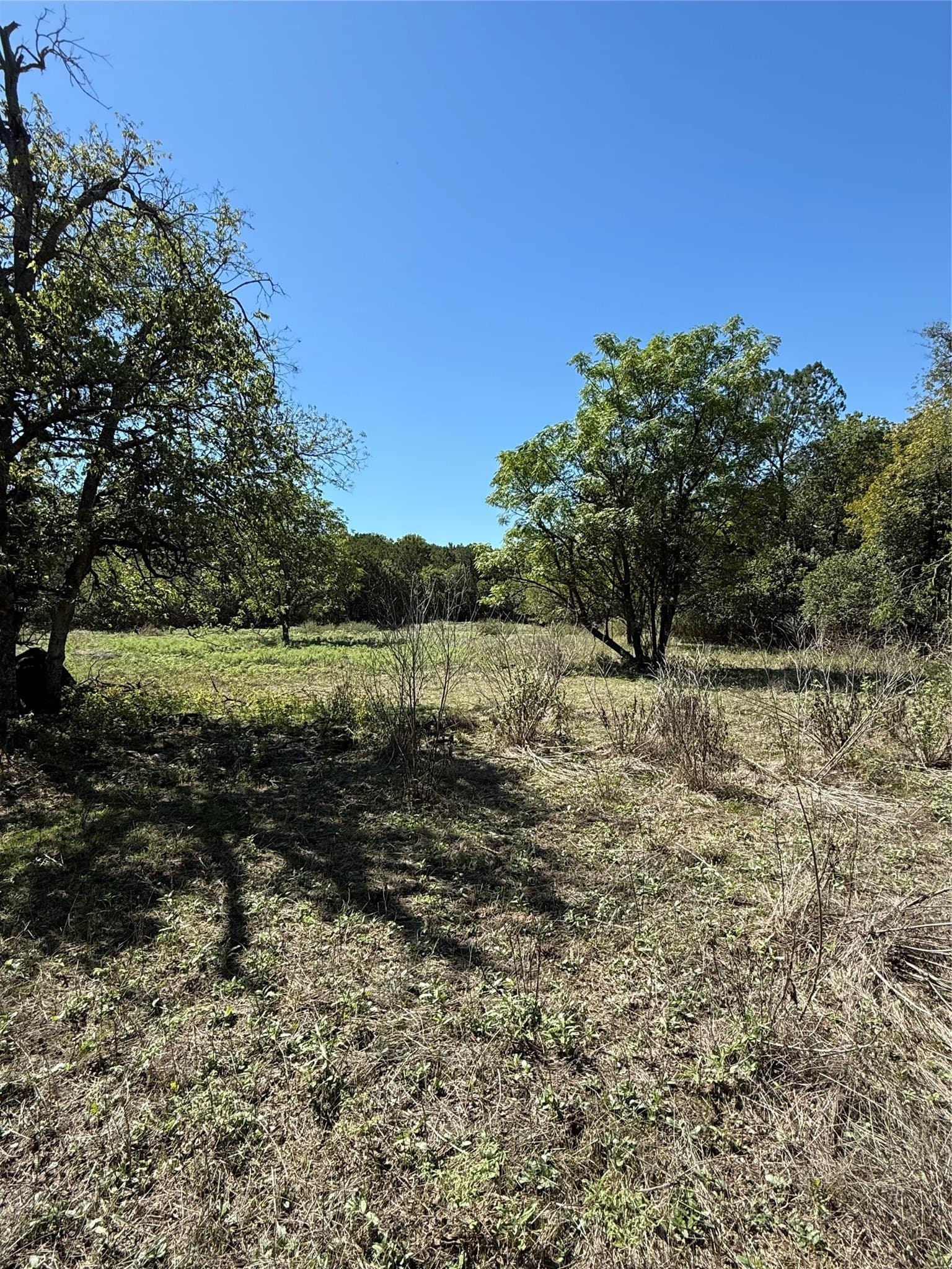 0.77 acres in Bosque County