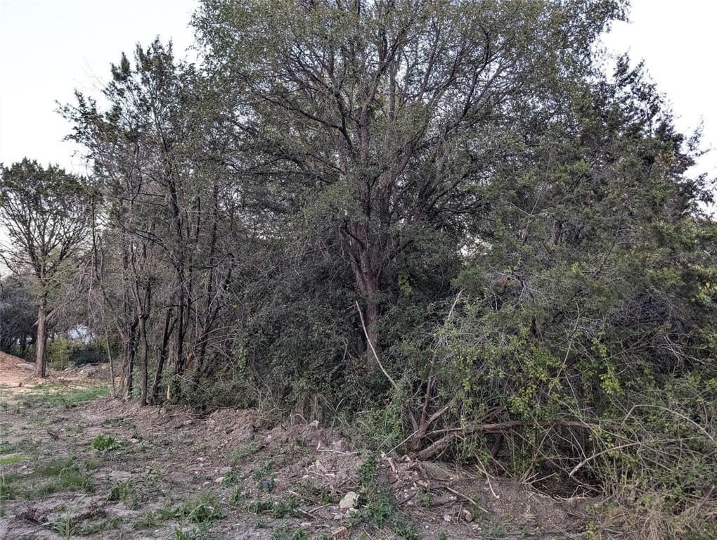 0.24 acres in Hood County gallery image 3