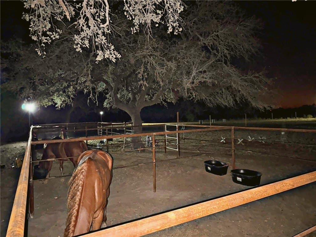 15.98 acres in Atascosa County featured view