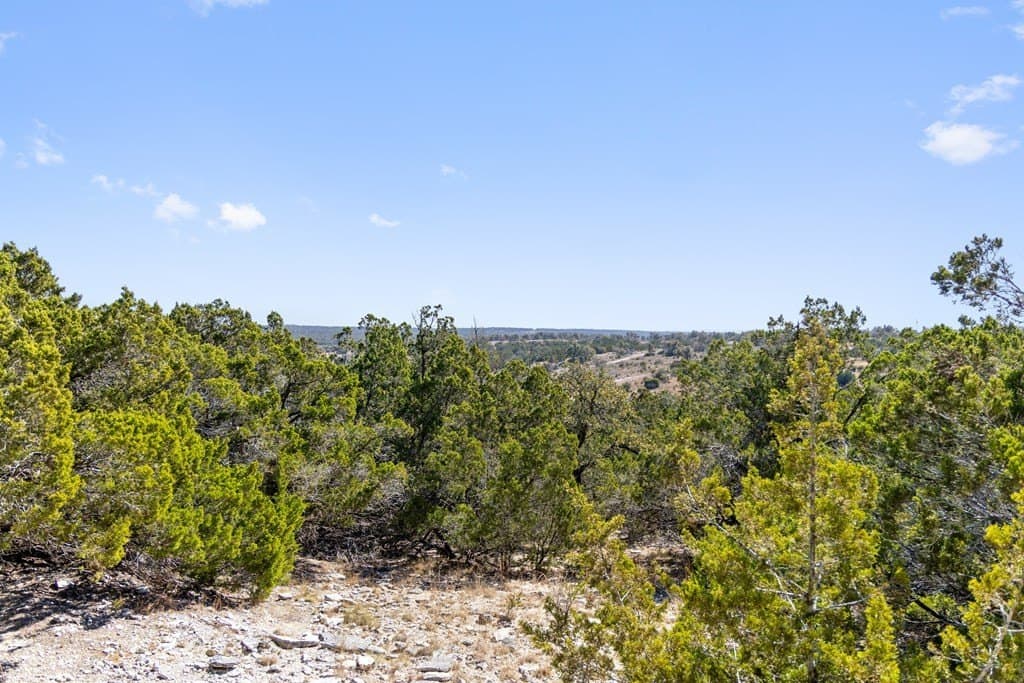 127 acres in Gillespie County - photo 26