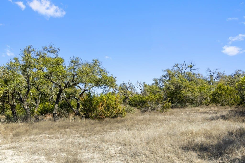 127 acres in Gillespie County - photo 36
