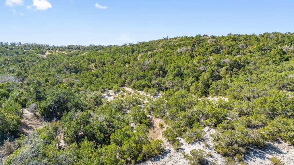 127 acres in Gillespie County - photo 53