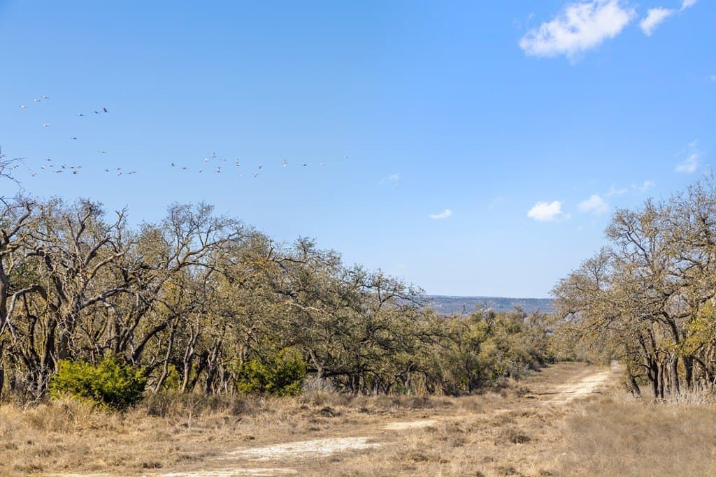 127 acres in Gillespie County - photo 22