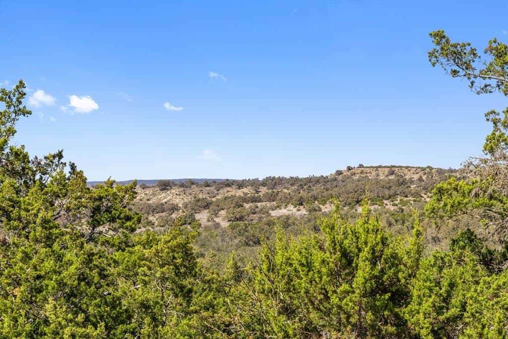 127 acres in Gillespie County - photo 48