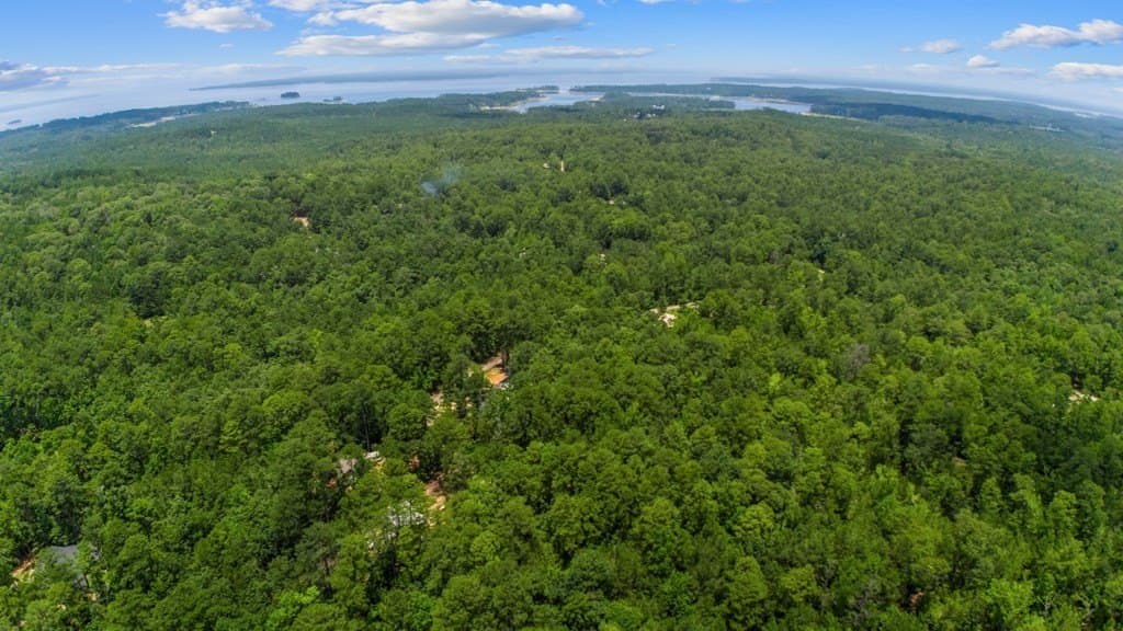 0.23 acres in Texas County - photo 8