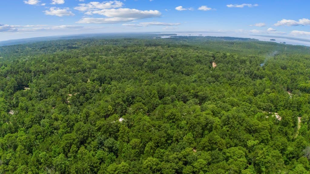 0.23 acres in Texas County - photo 9