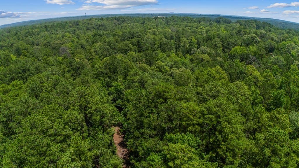 0.23 acres in Texas County gallery image 4