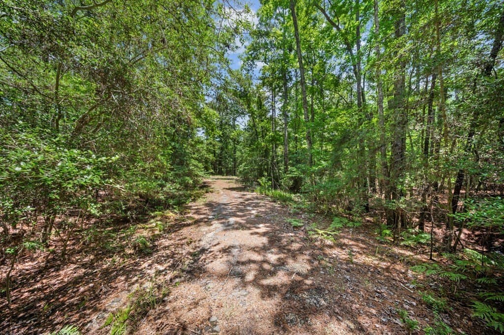 0.23 acres in Texas County gallery image 2