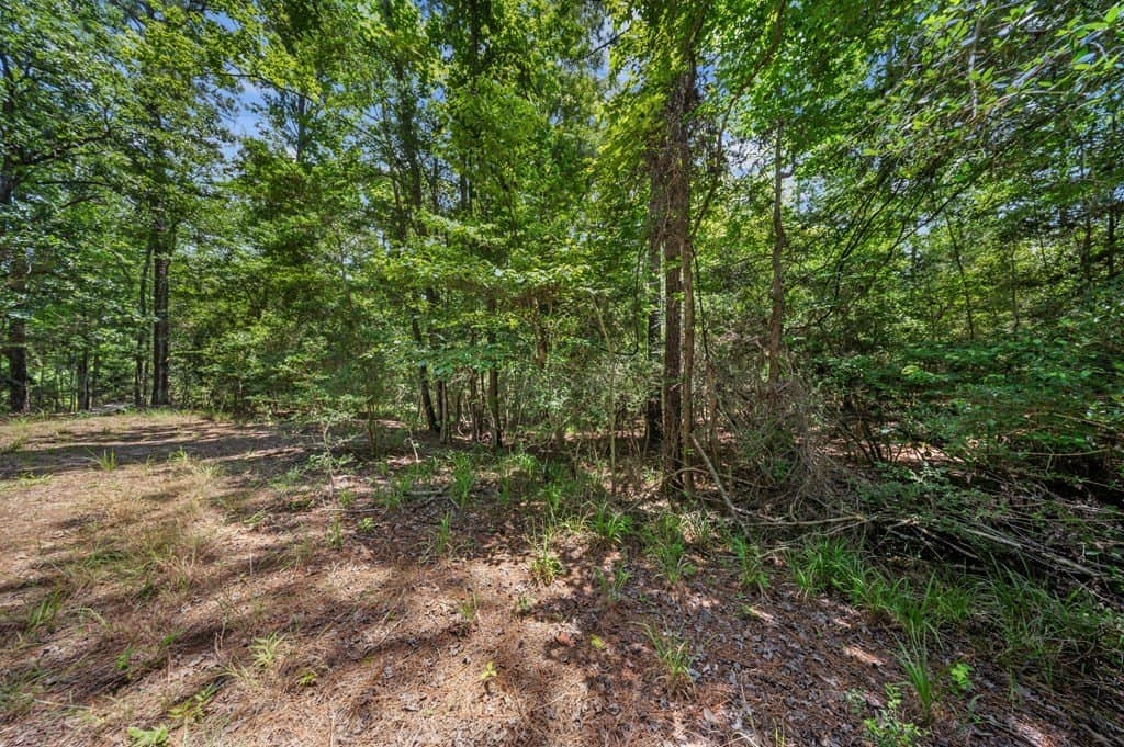 0.23 acres in Texas County gallery image 3