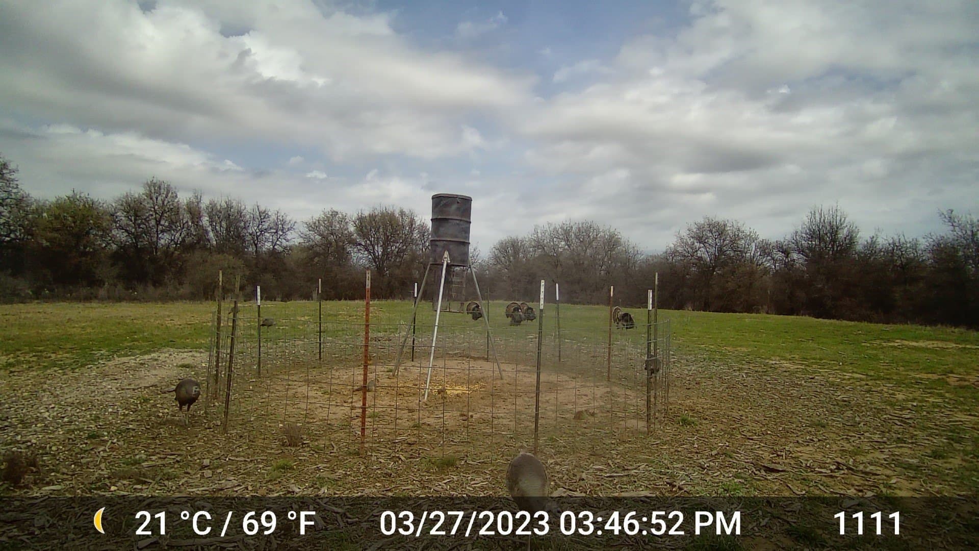 20 acres in Jones County - photo 6