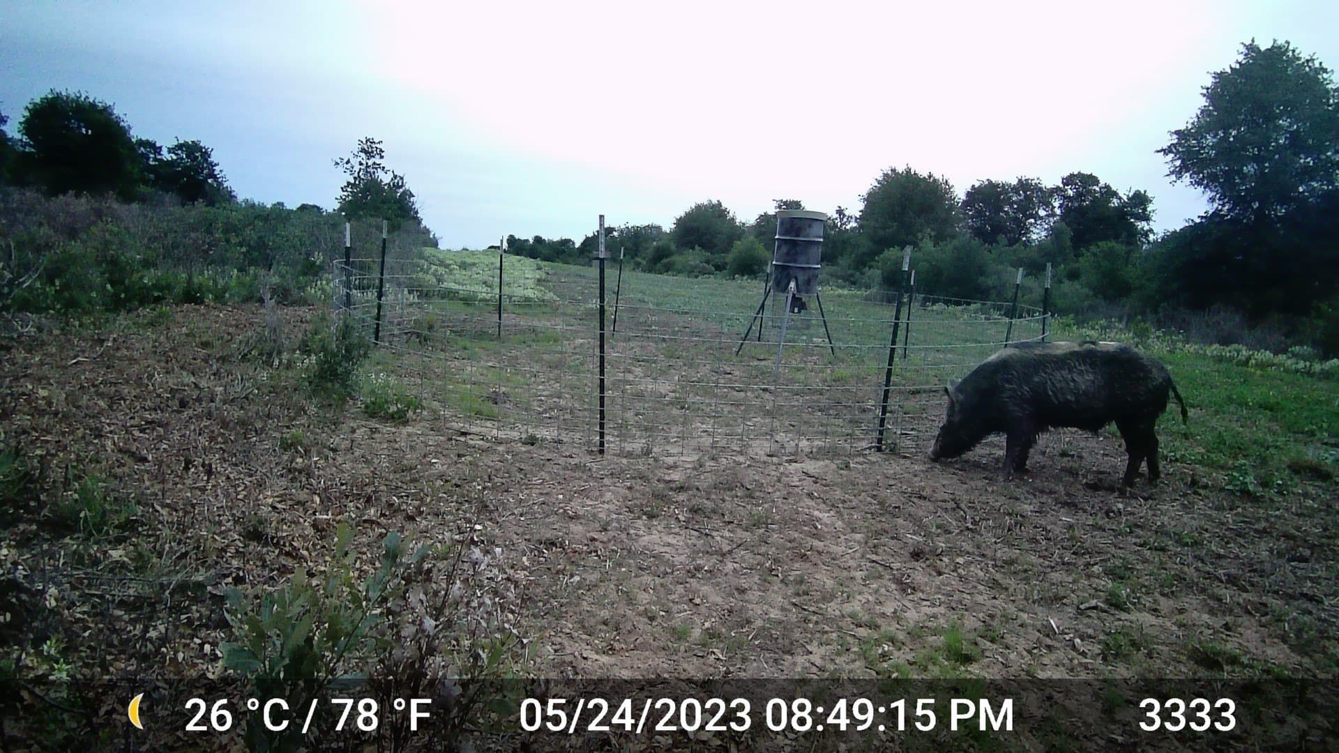 20 acres in Jones County - photo 3