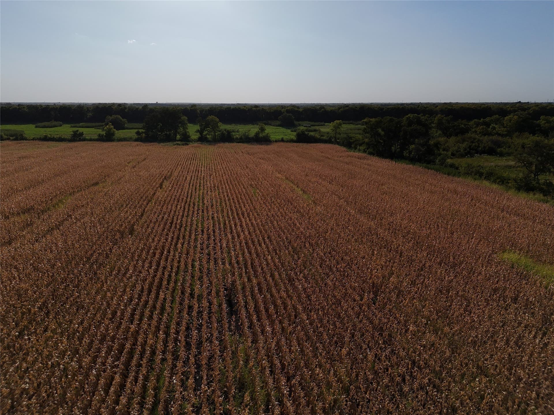 26.79 acres in Delta County - photo 5