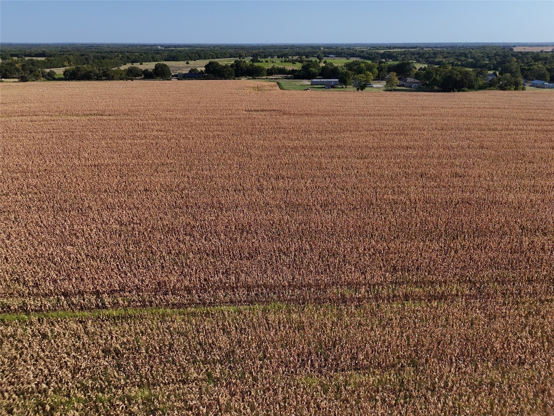26.79 acres in Delta County - photo 6