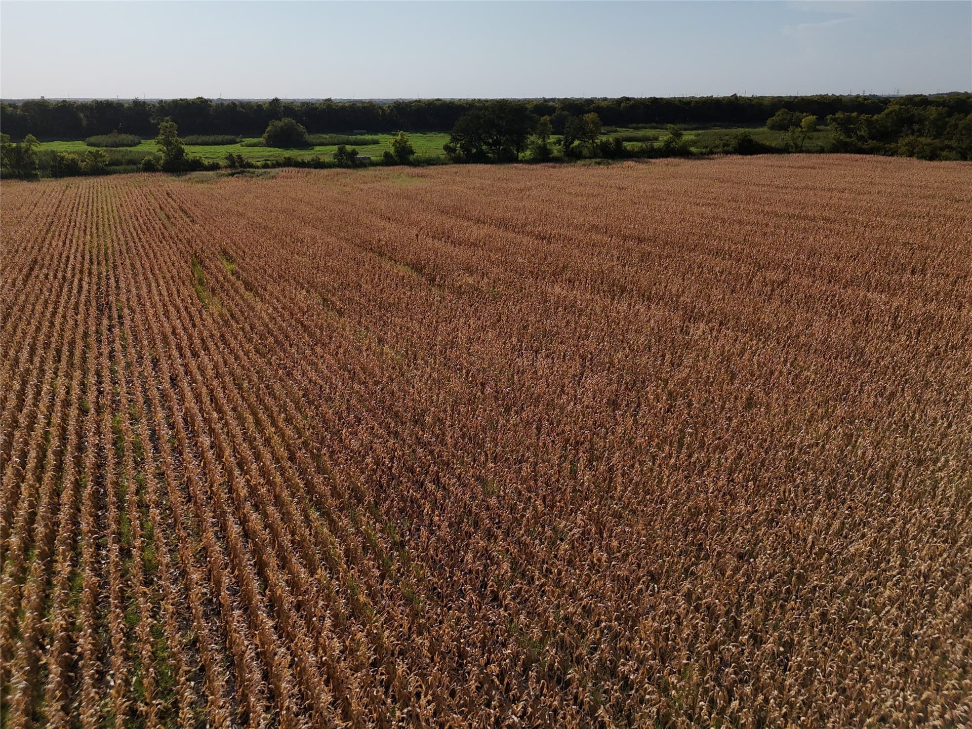 26.79 acres in Delta County - photo 8