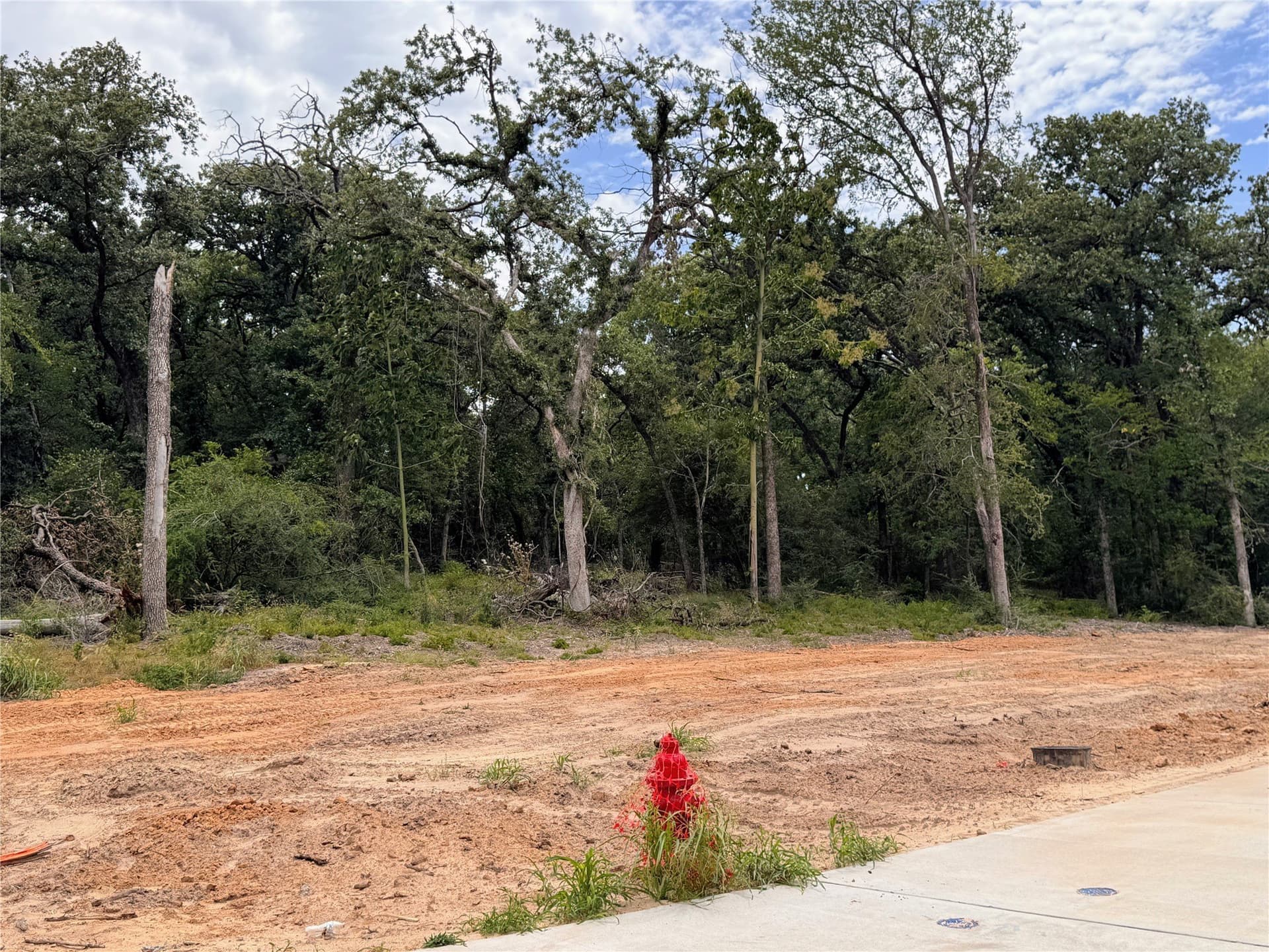 0.54 acres in Tarrant County - photo 19