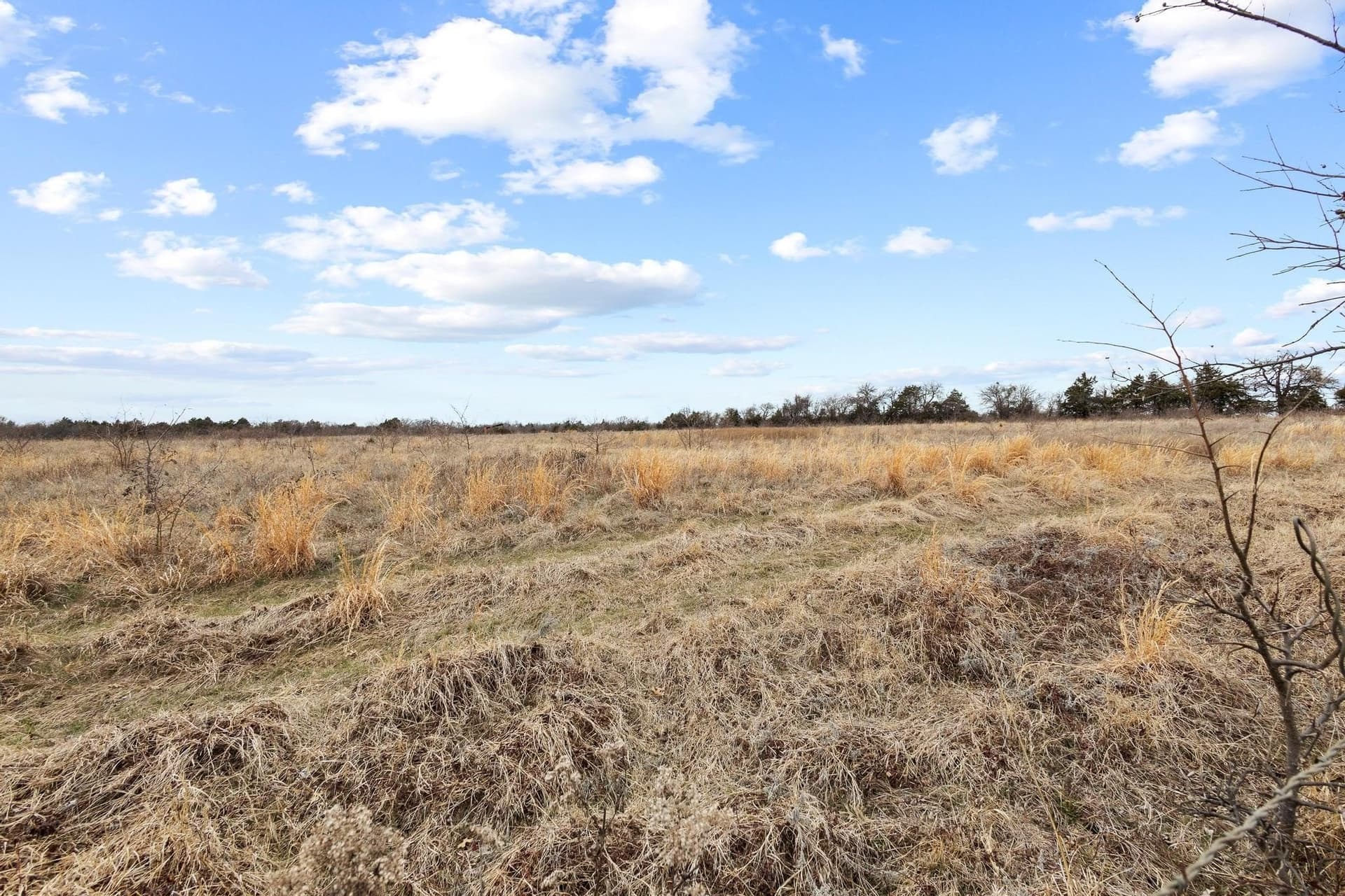 24 acres in Grayson County - photo 14