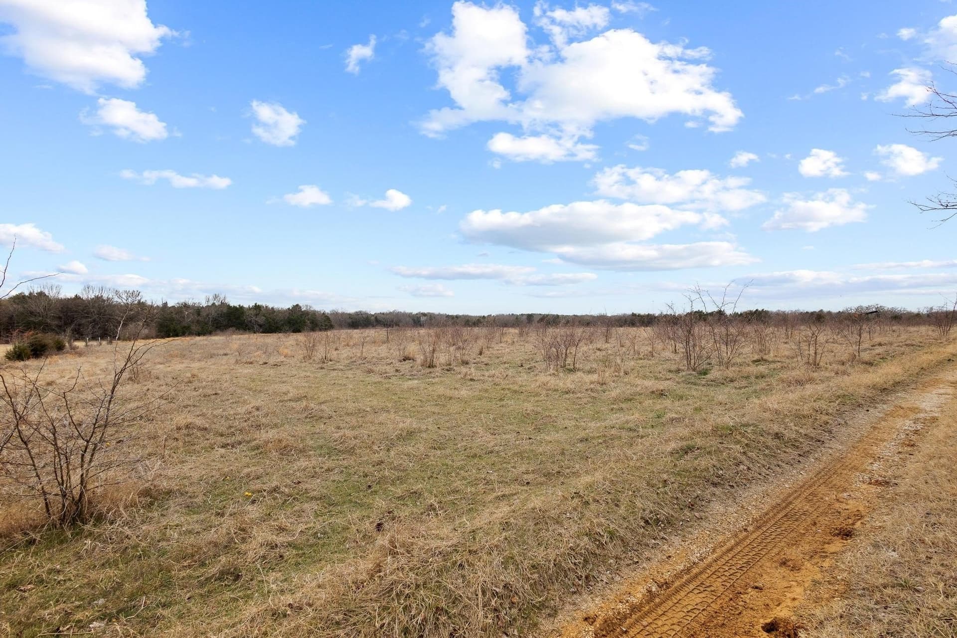 24 acres in Grayson County - photo 17