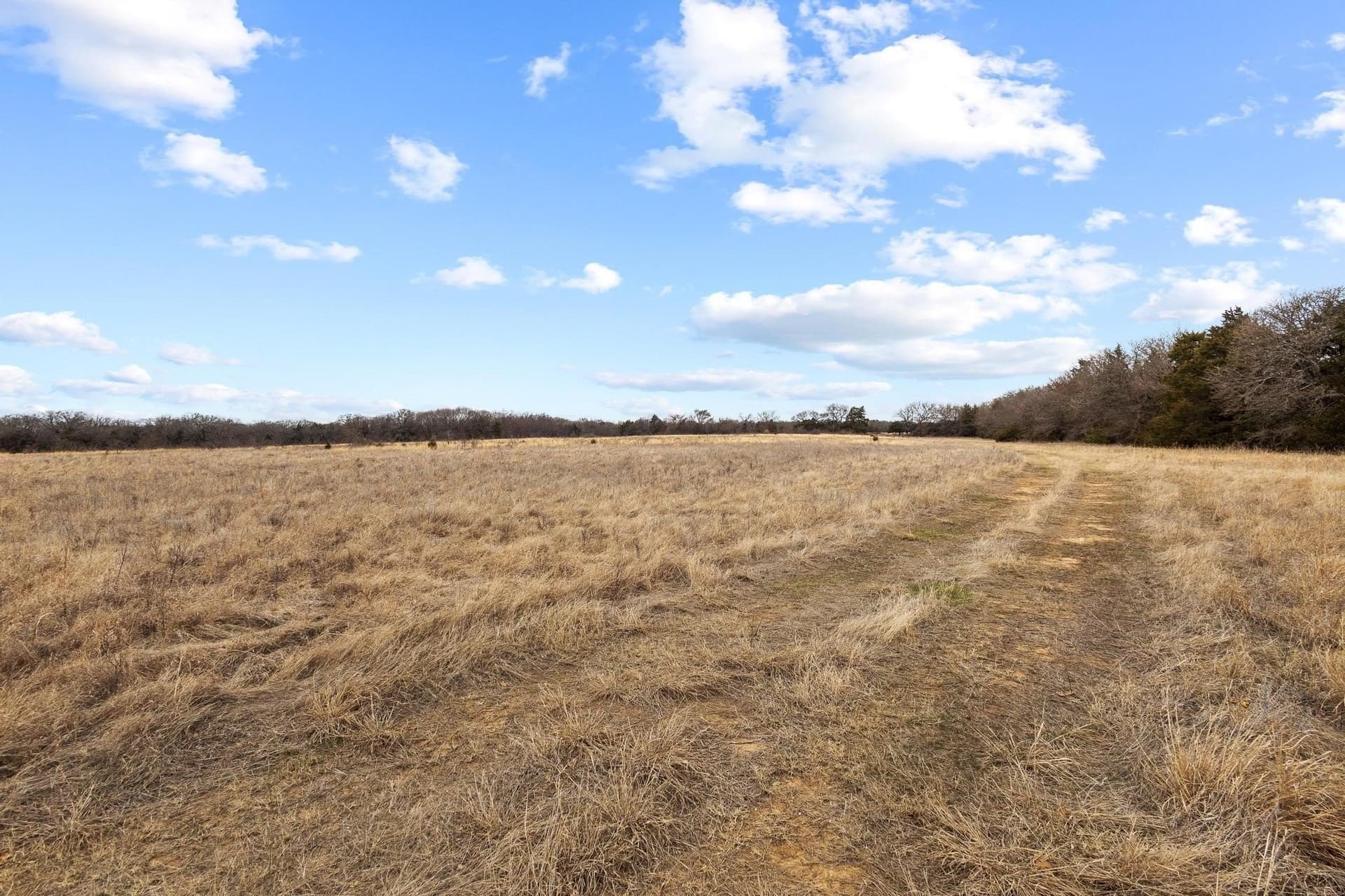 24 acres in Grayson County - photo 23