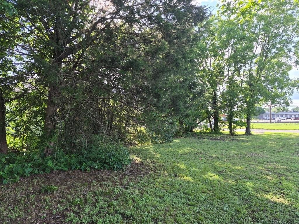 0.24 acres in McLennan County gallery image 3