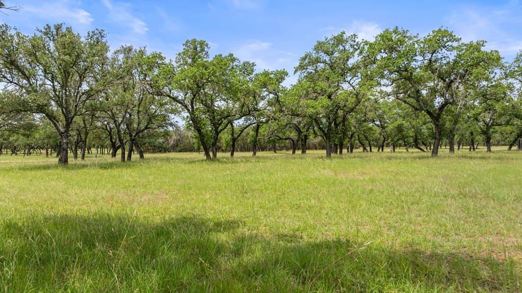 25.01 acres in Blanco County gallery image 2