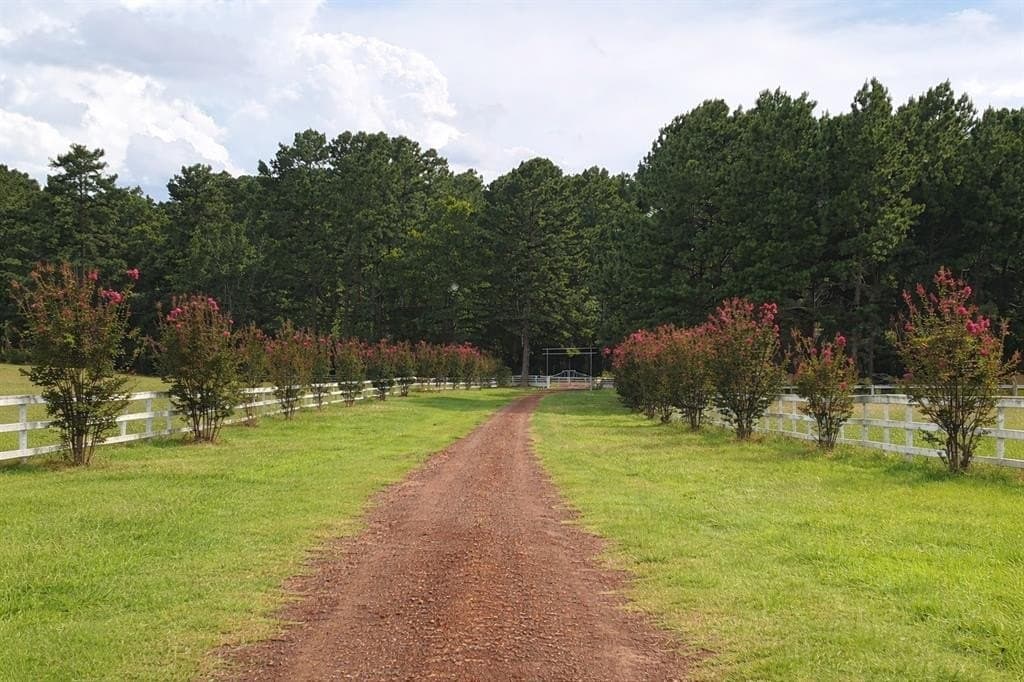 38 acres in Anderson County featured view