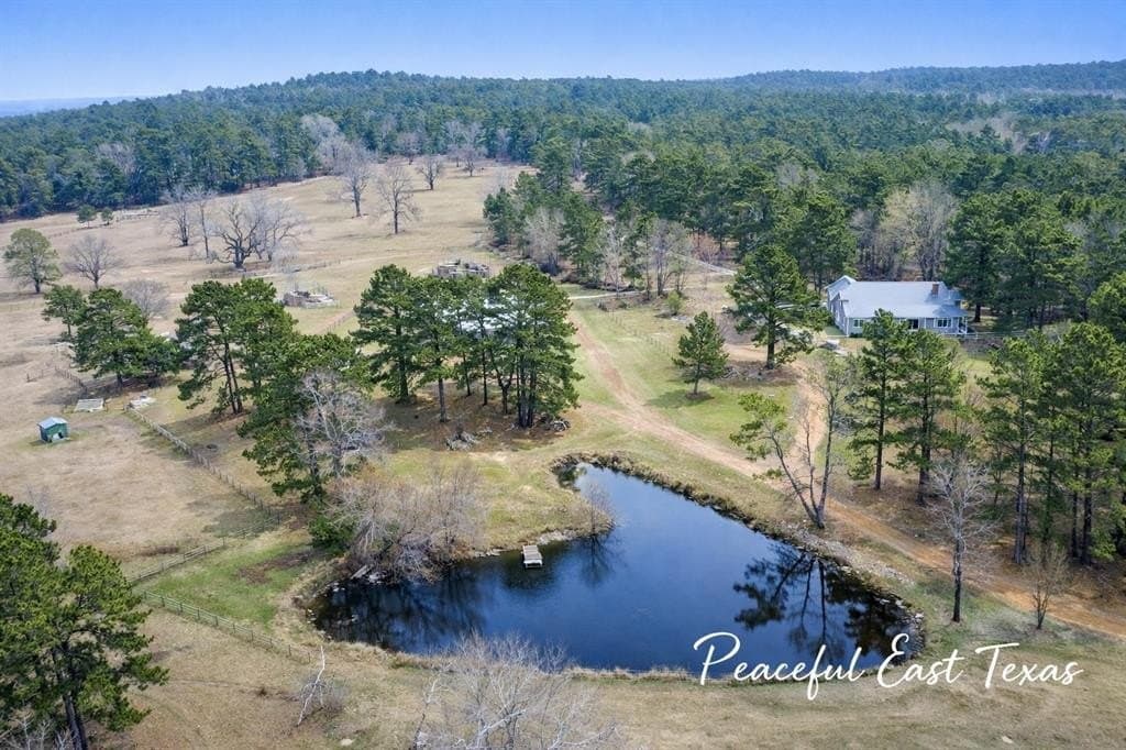 38 acres in Anderson County gallery image 4