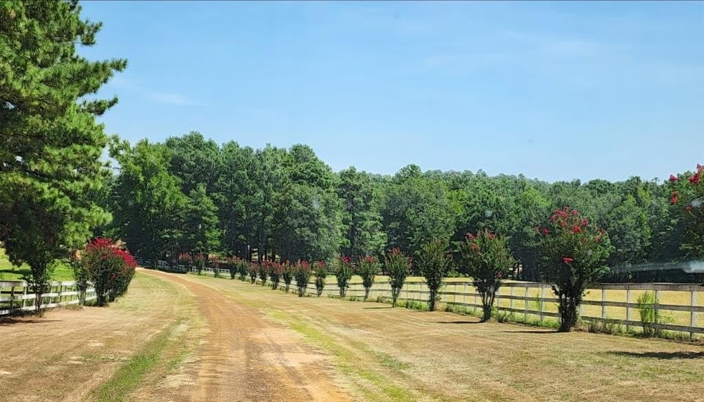 38 acres in Anderson County gallery image 3