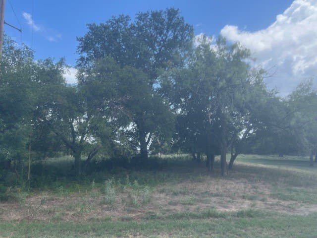 0.26 acres in Hill County gallery image 2
