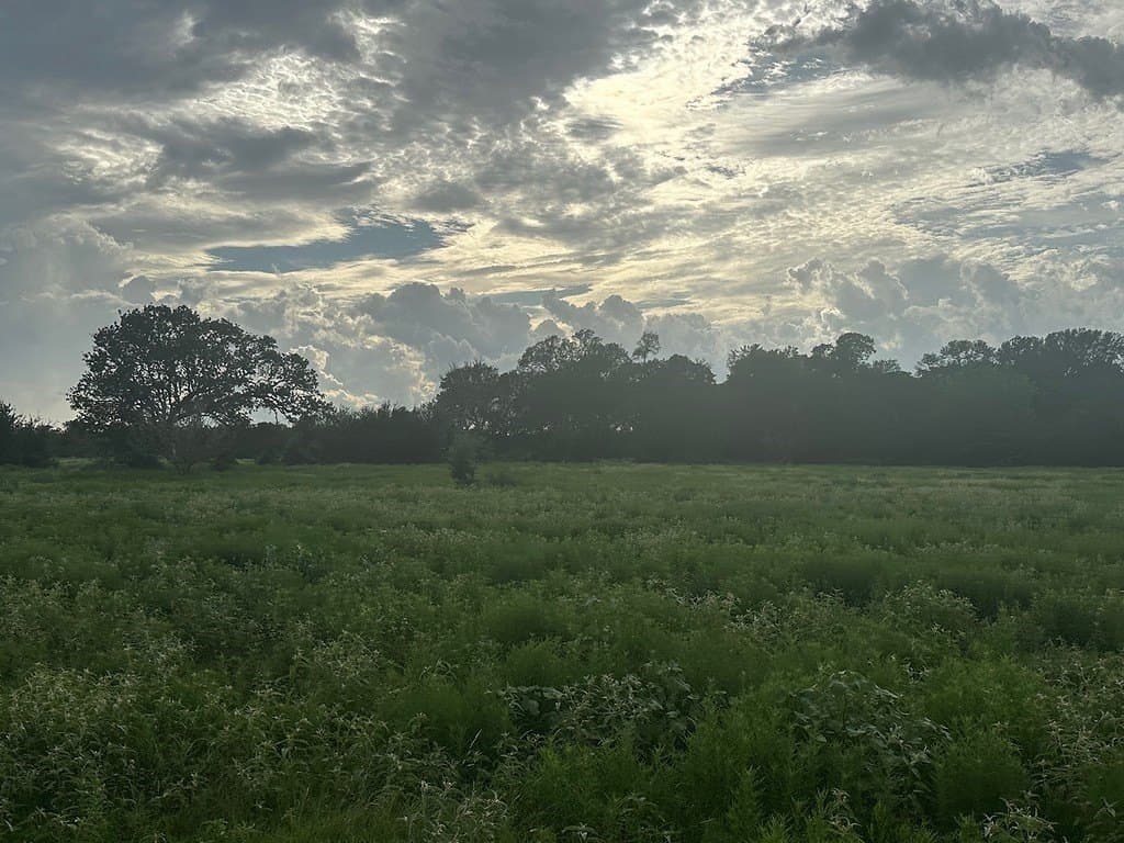 49.15 acres in Fayette County - photo 6