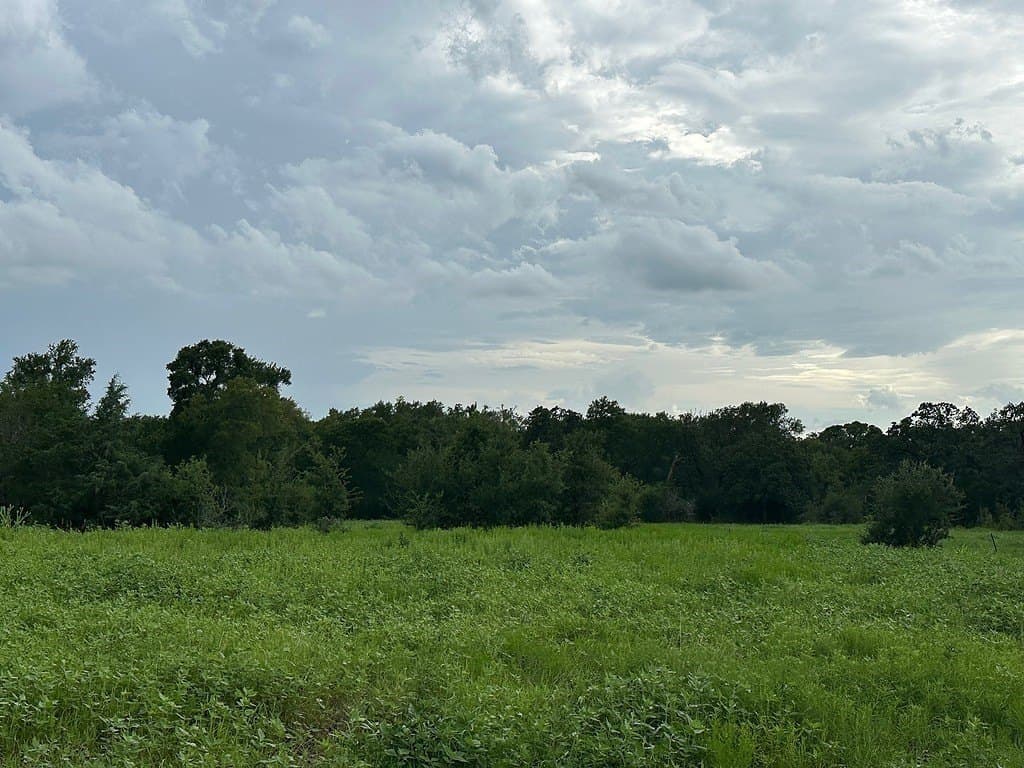 49.15 acres in Fayette County - photo 11