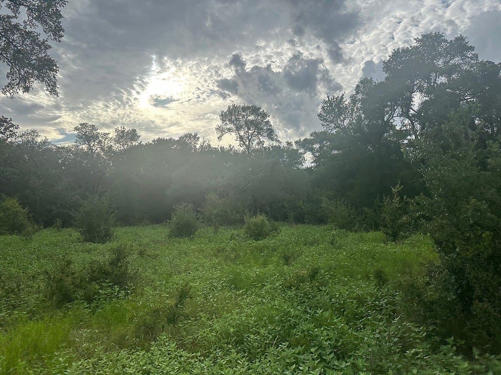 49.15 acres in Fayette County - photo 10